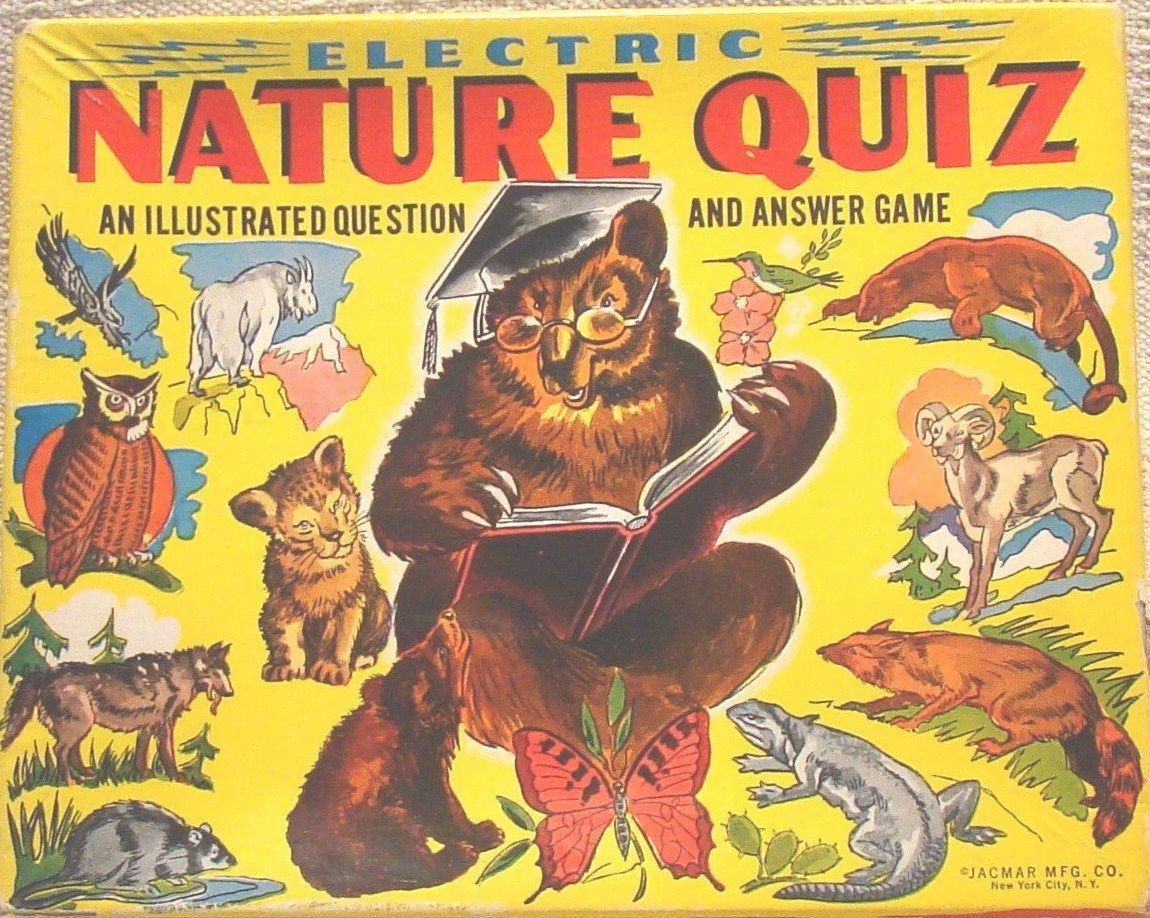 Electric Nature Quiz doboz