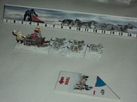 Dogsled Racing