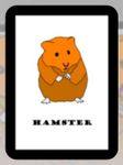 Hamsterdam 5-6 Player Expansion