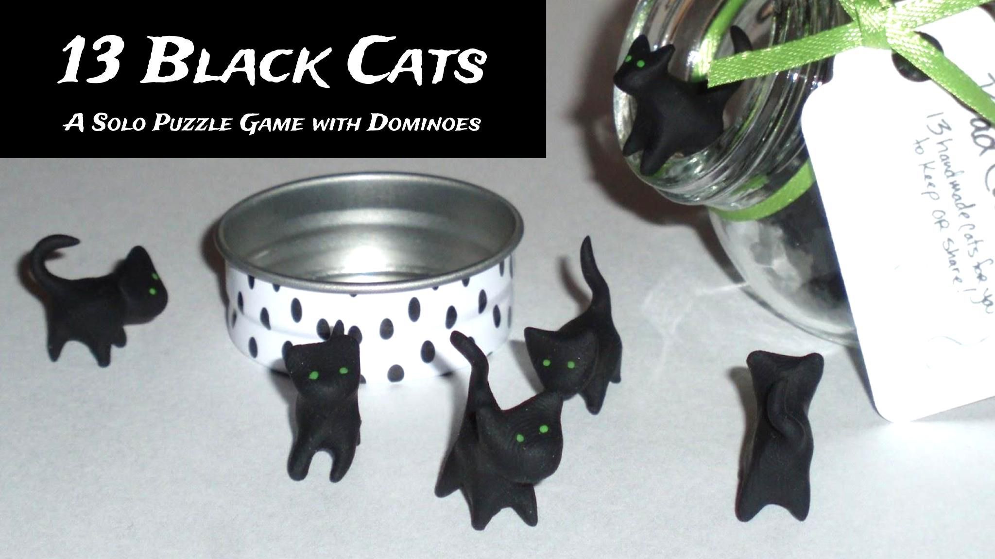 13 Black Cats box art