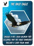 Salmon Run: The Bald Eagle