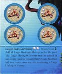 Octopus' Garden: Large Harlequin Shrimp