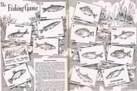 The Fishing Game