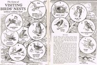 The Game of Visiting Birds' Nests Without Robbing Them