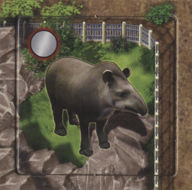 Zooloretto: Tapir box art