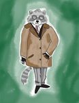 The Raccoon is at the Candy Shoppe