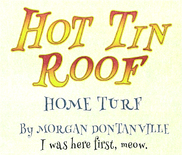 Hot Tin Roof: Home Turf box art