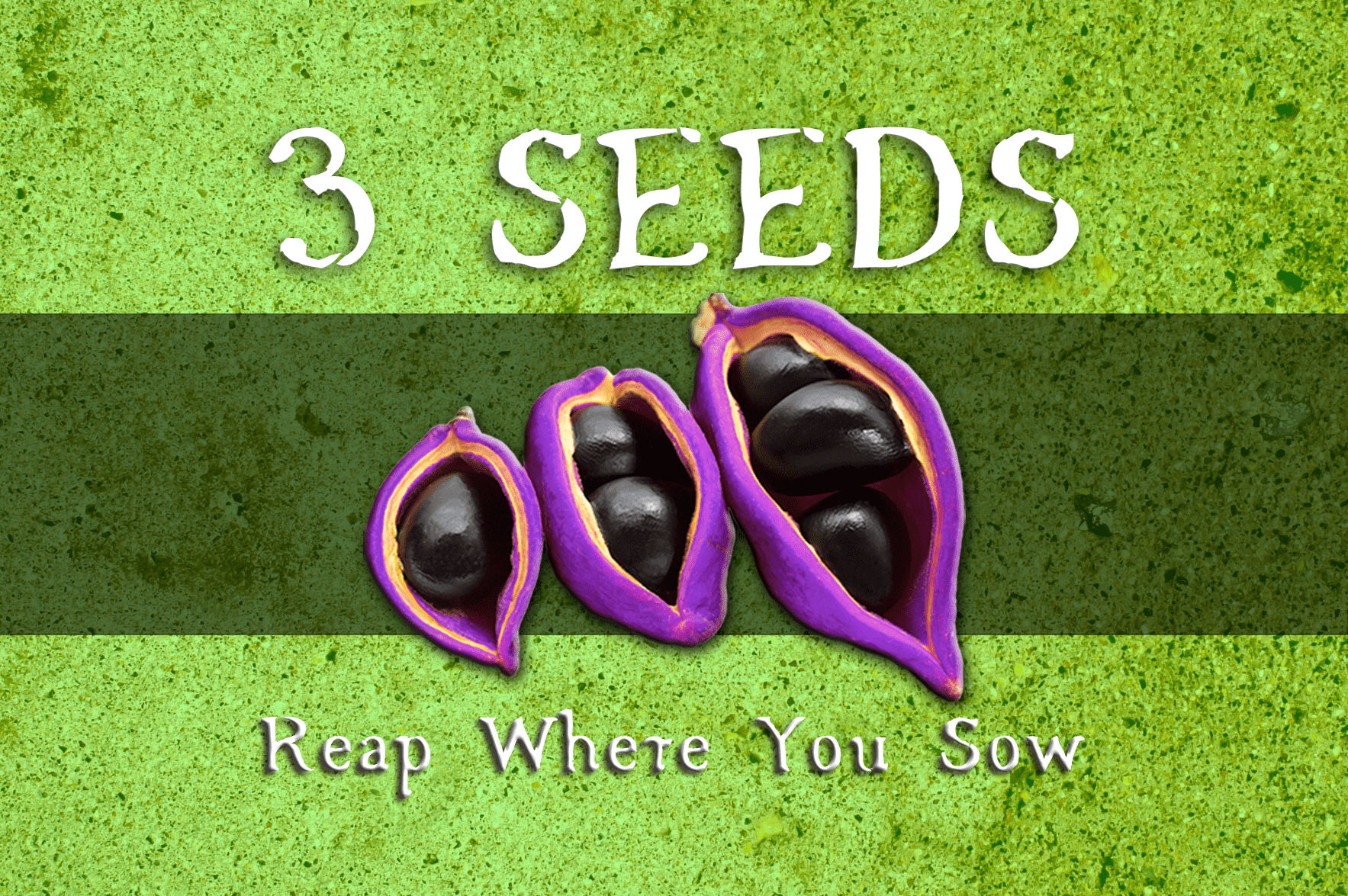 3 Seeds: Reap Where You Sow box art