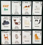 Crazy Cat Lady