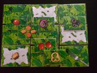 Point Salad: The Salad-Building Game