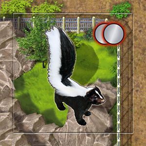 Zooloretto: Skunk box art