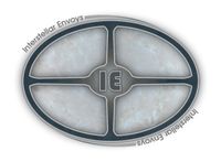 Interstellar Envoys