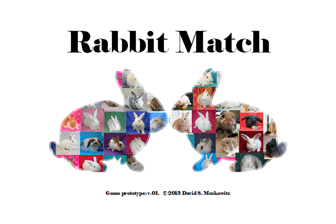 Rabbit Match: The Game box art
