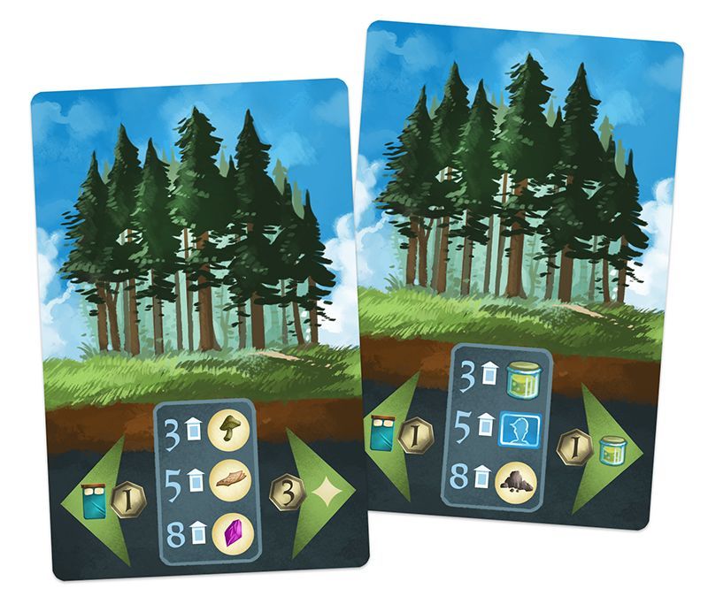 Above and Below: Groves box art