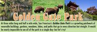 Golden Gate Park