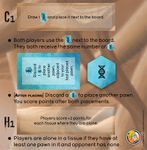 Microworld: BoardGameGeek Promo 2