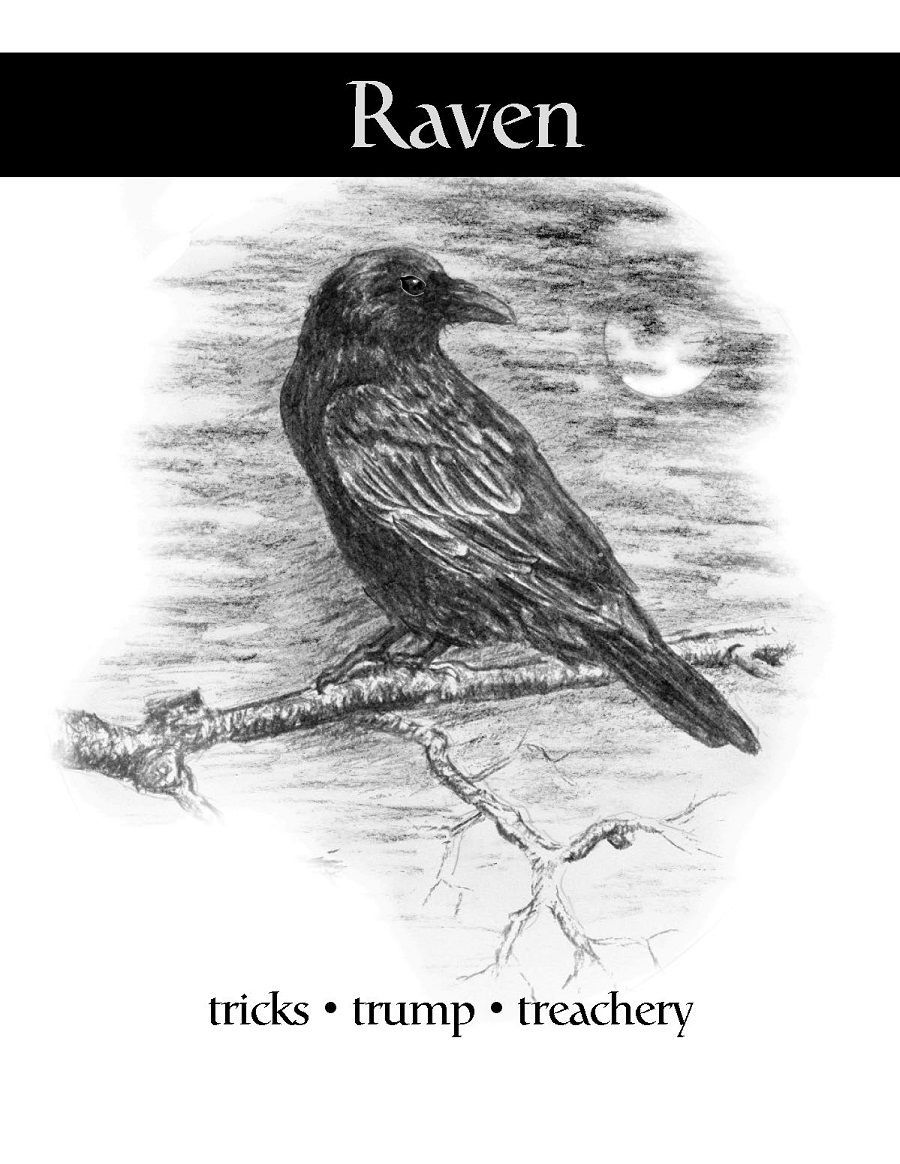 Coperta Raven