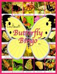 Butterfly Bingo