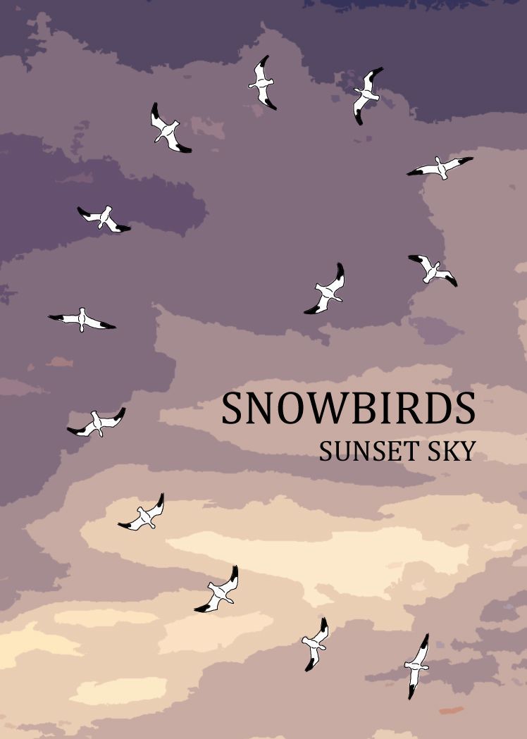 Snowbirds: Sunset Sky box art