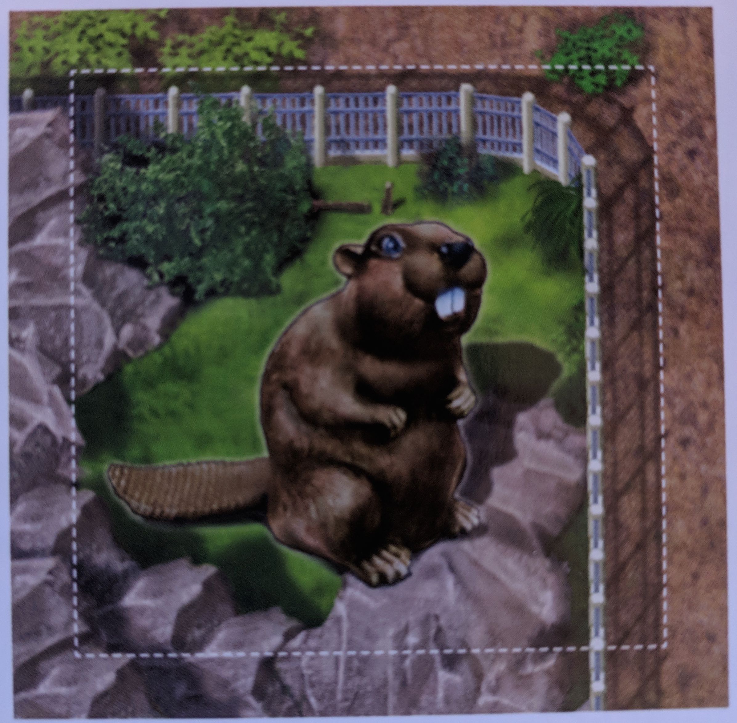 Coperta Zooloretto: Castor