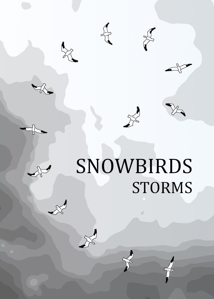 Coperta Snowbirds: Storms