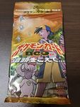 Pokémon TCG: Crossing the Ruins... Expansion