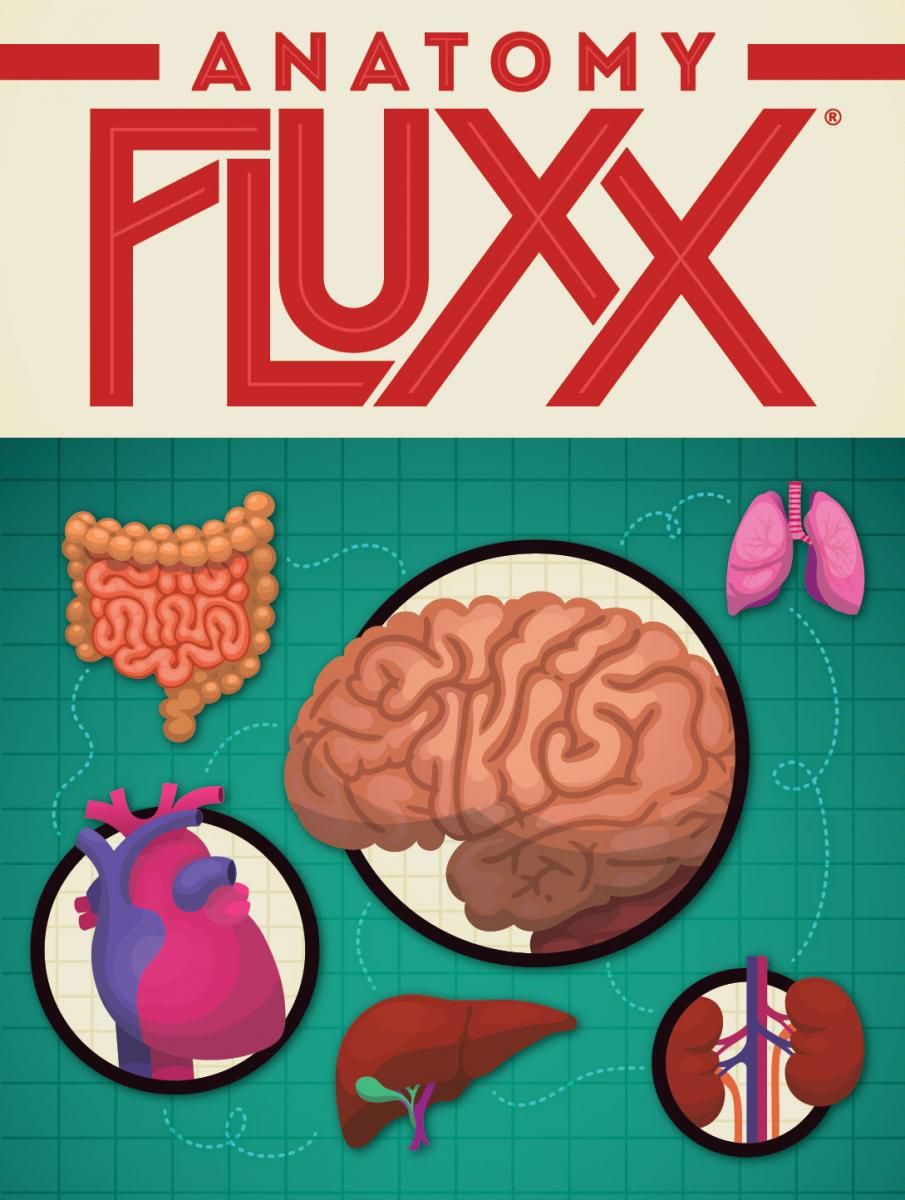 Coperta Anatomy Fluxx