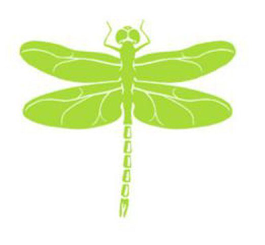 Dragonfly (fan expansion for Hive) doboz