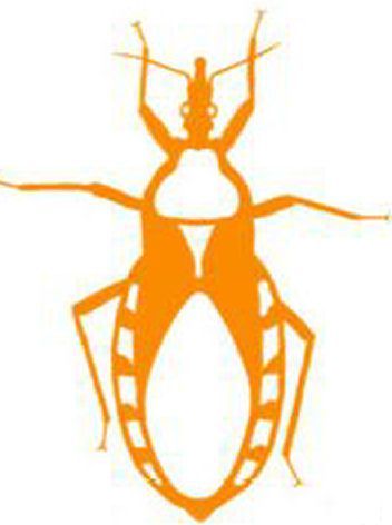 Coperta Assassin Bug (fan expansion for Hive)