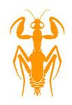 Praying Mantis (fan expansion for Hive)