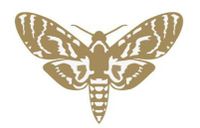 Moth (fan expansion for Hive)