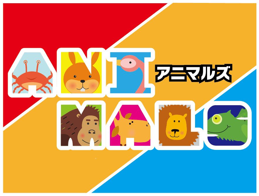 Animals doboz