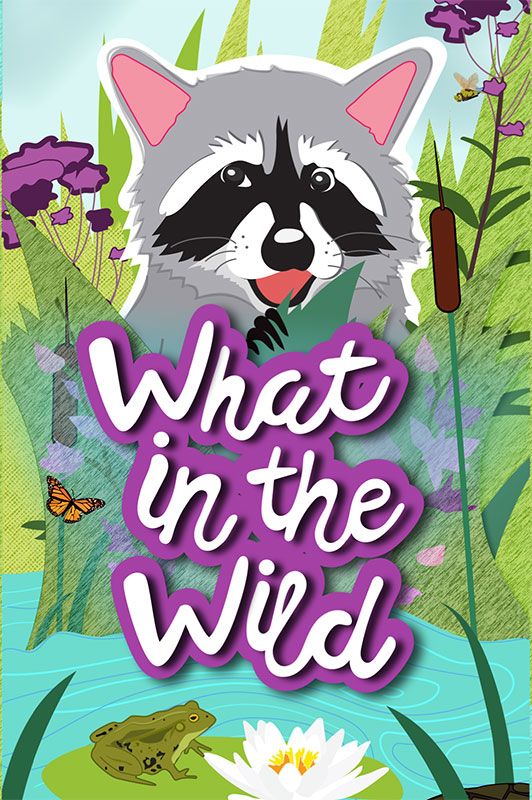 What in the Wild box art