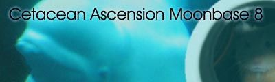 Cetacean Ascension Moonbase 8 box art