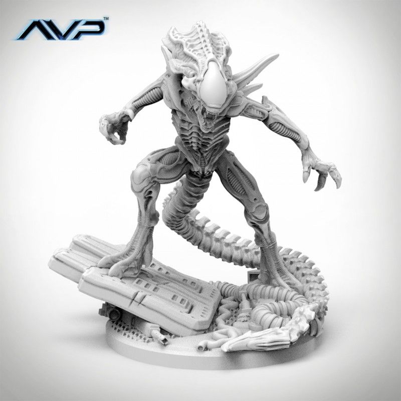 Coperta Alien vs Predator: Alien Praetorian