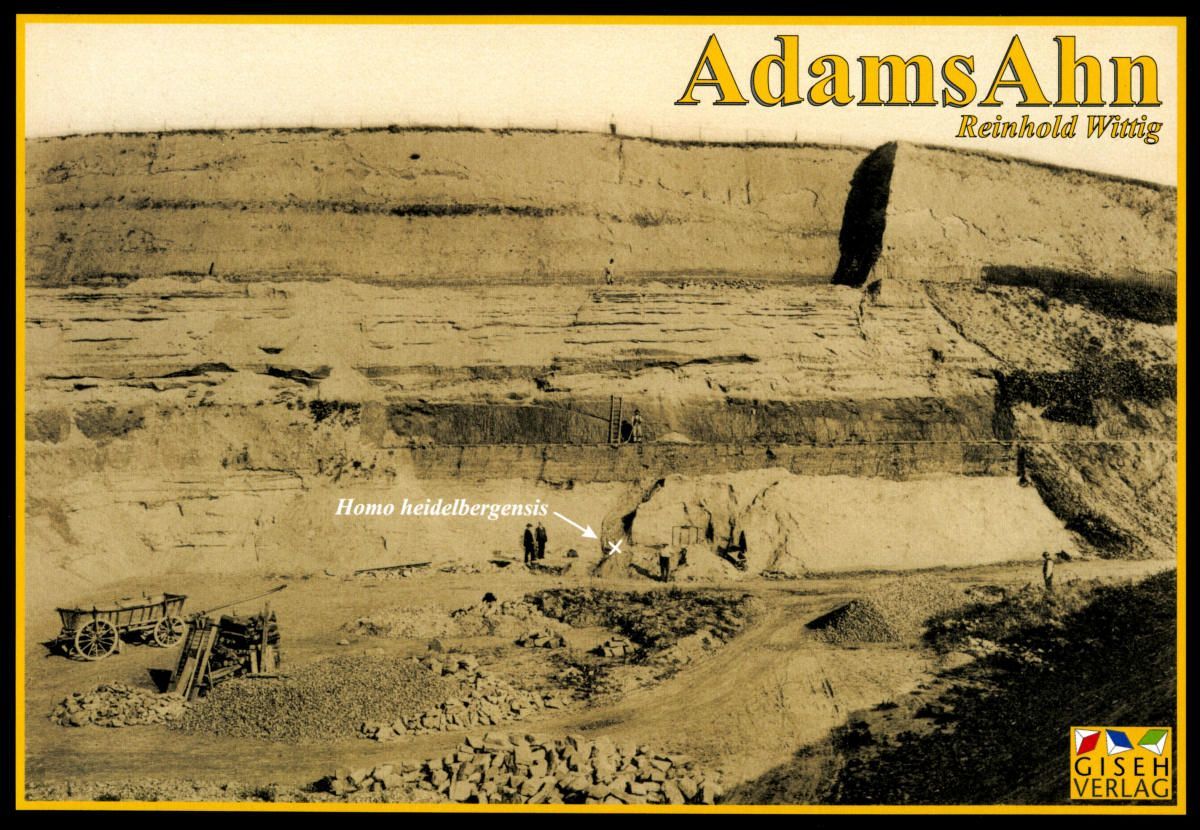 Coperta Adams Ahn