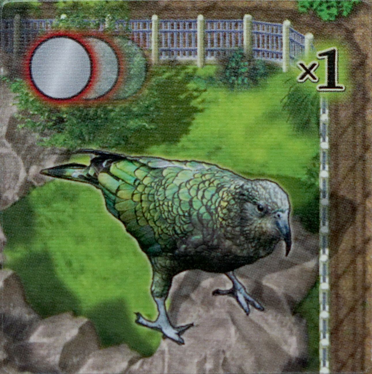 Zooloretto: Kea box art