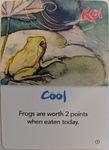 KOI: Cool Weather Promo Card