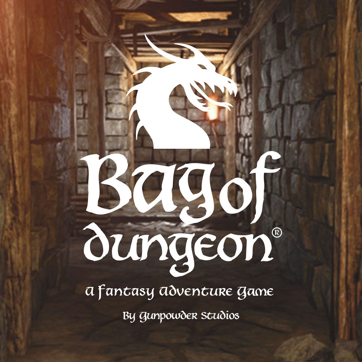 Bag of Dungeon: A Fantasy Adventure Game box art