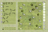 13 Sheep