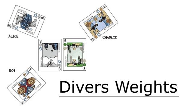 Divers Weights box art