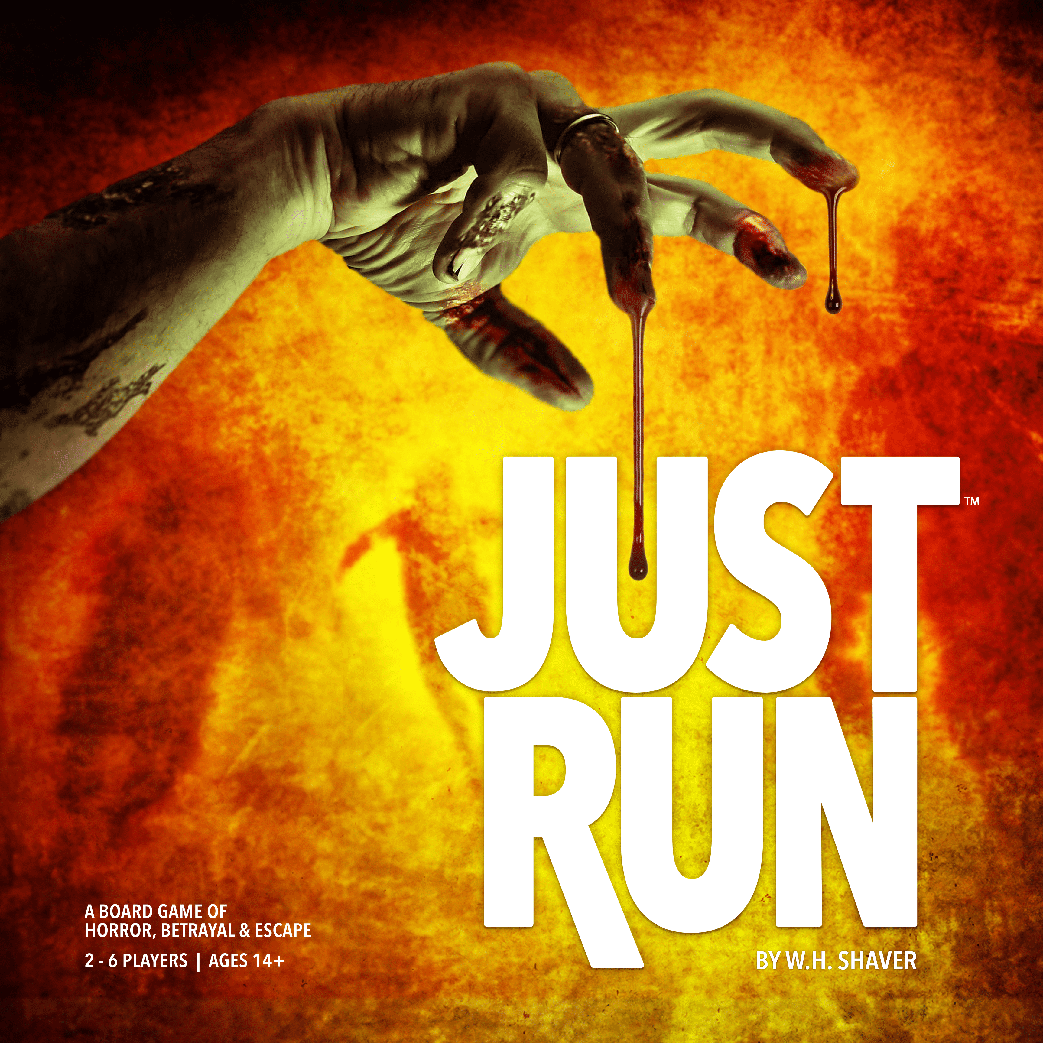 JUST RUN box art