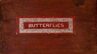 Game of Butterflies