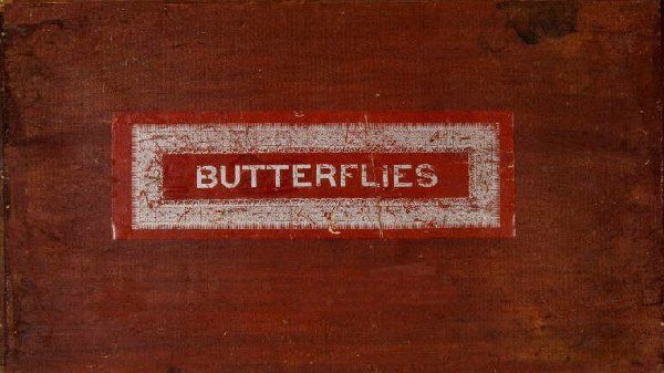 Game of Butterflies box art