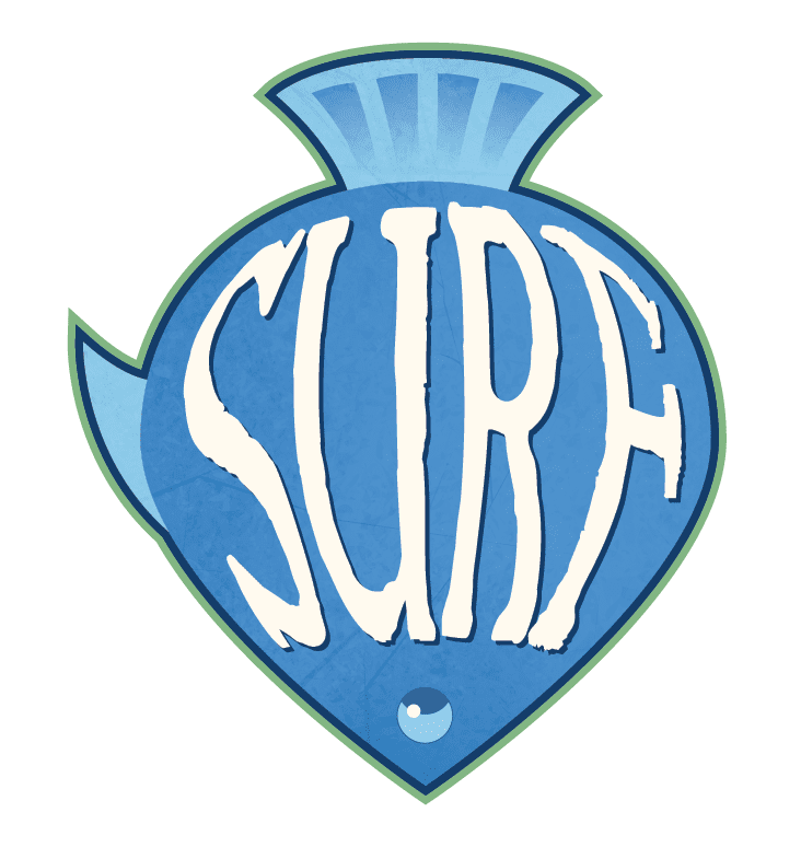 Village Pillage: Surf doboz