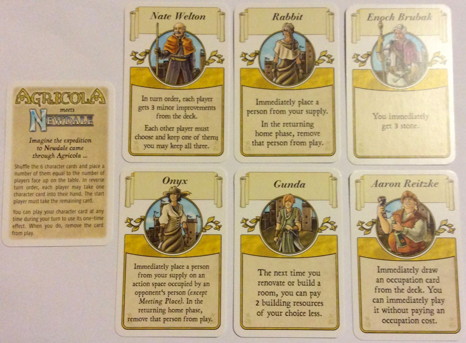 Agricola: Agricola Meets Newdale box art