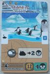 A Pleasant Journey to Neko: Neko Harbour 2