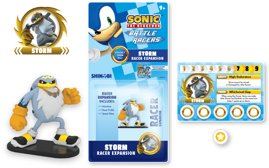 Coperta Sonic the Hedgehog: Battle Racers – Storm Racer Expansion