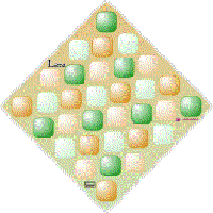 Coperta Laita