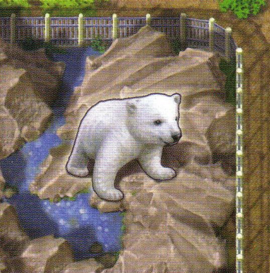 Zooloretto: Polar Bear doboz